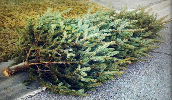 Holiday Recycling Guide 10 Holiday Recycling Guide 10